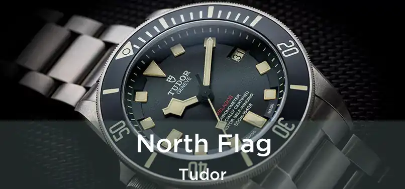 North Flag Tudor